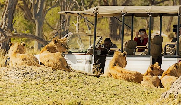 Botswana's Deserts & Deltas - 8 days from $5495